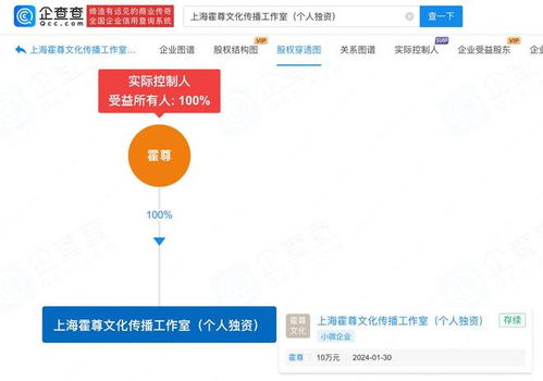 霍尊南京江豚音乐节复出 前女友辟谣、争议解读与公关策略分析